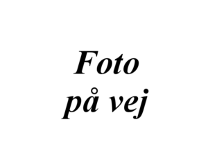 Ankerplade Bag, Venstre (Up, Mii, Citigo)